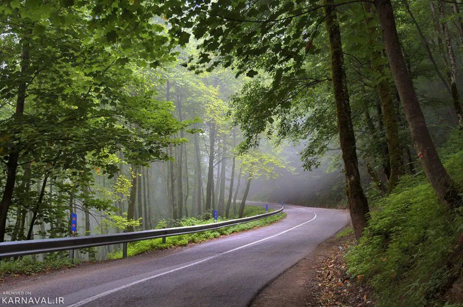 جنگل دالخانی