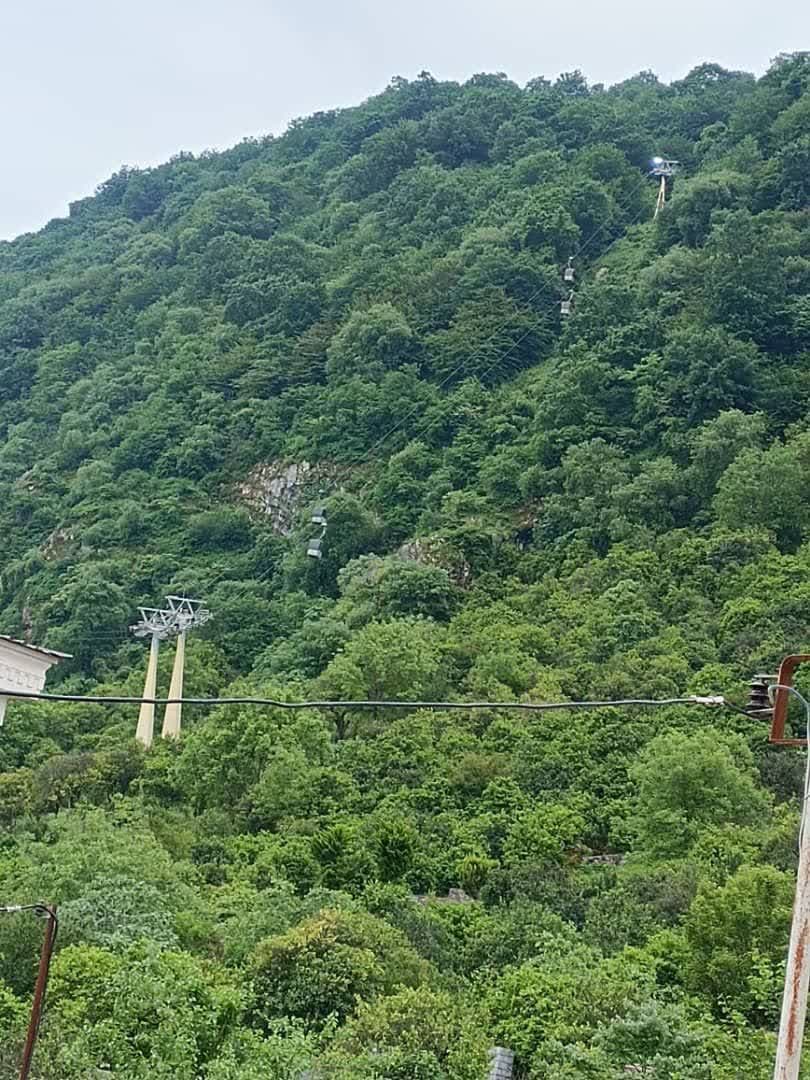 رامسر منطقه جنگلی .