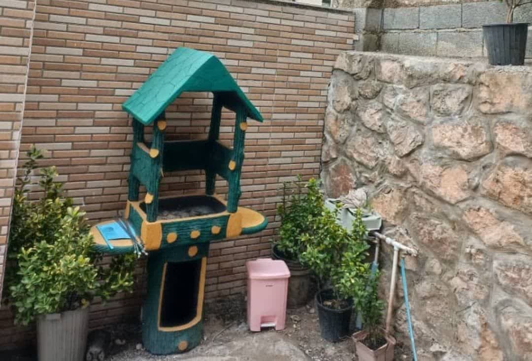 کلبه جنگلی رامسر